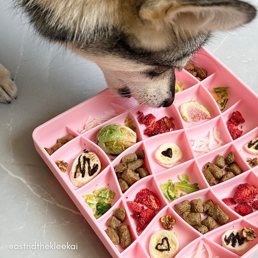 Ollie B. Good Wavies Slow Feeder Bowl | Strawberry | Enrichment Bowl For Pets
