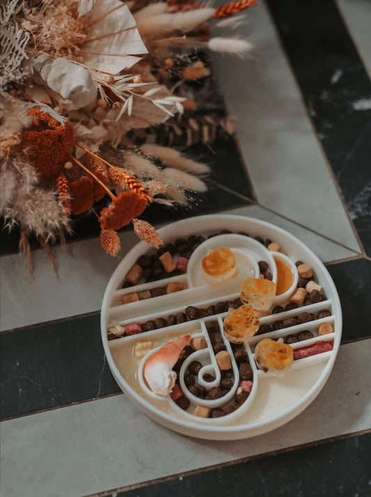 Ollie B. Good Zoomies Slow Feeder Bowl | Coconut | Enrichment Bowl For Pets