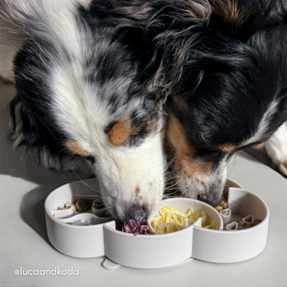 Ollie. B Good Cloud Slow Feeder Bowl | Coconut | Enrichment Bowl For Pets