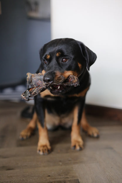 Roe Deer Ribs | Natural Long Lasting Dog Chews