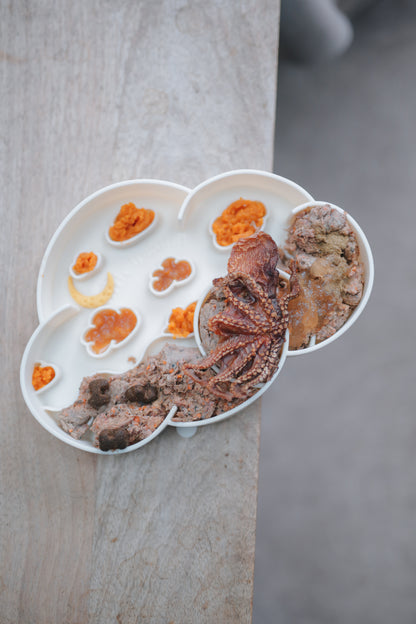 Ollie. B Good Cloud Slow Feeder Bowl | Coconut | Enrichment Bowl For Pets