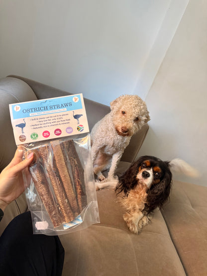 JR Pet Products Ostrich Straws