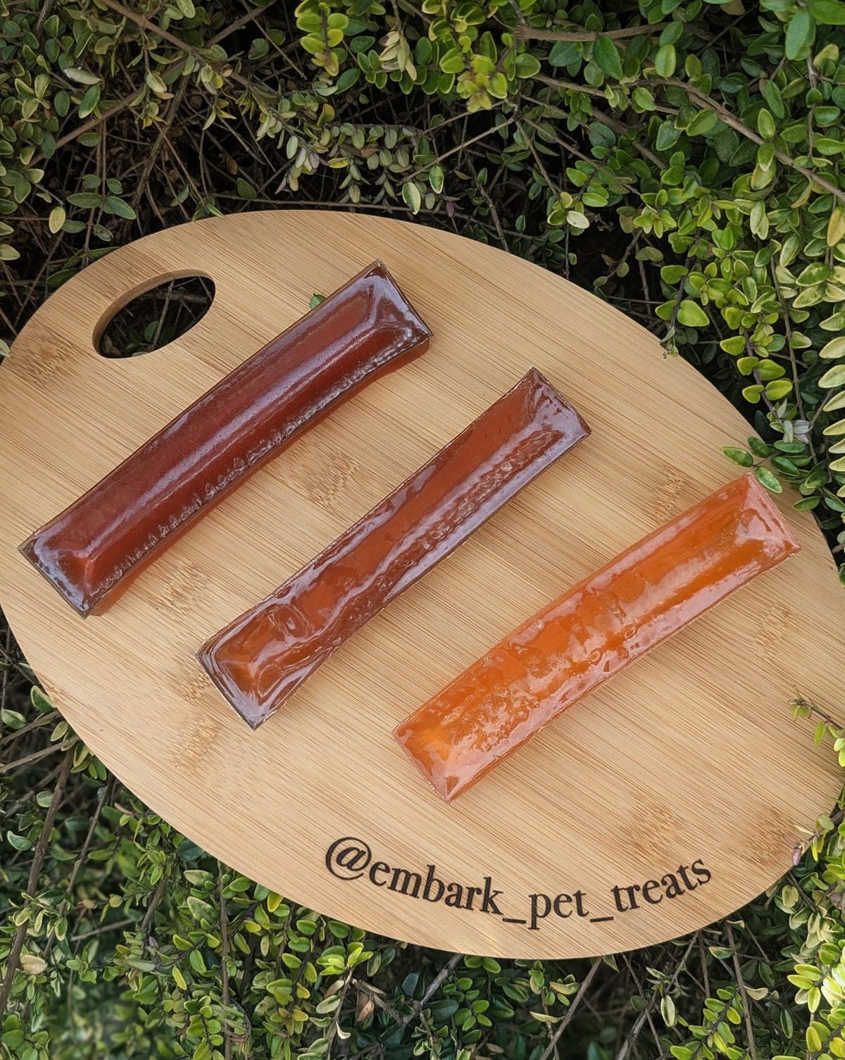 Brothies Bone Broth Bars For Dogs