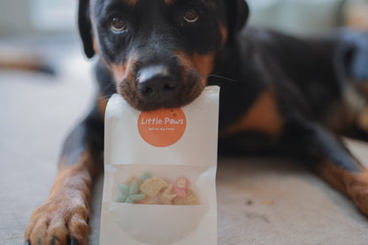 Little Paws Sandy Beach Treasures