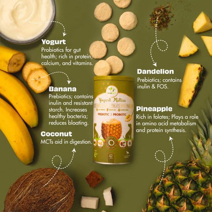 Yoghurt Melties - Pineapple, Banana, Coconut & Dandelion