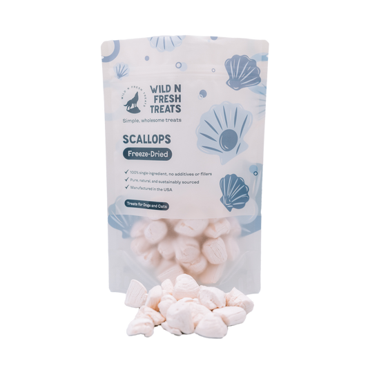 Freeze Dried Scallops