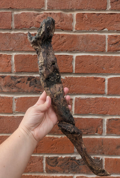 Giant Bully Jerky