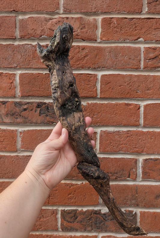 Giant Bully Jerky