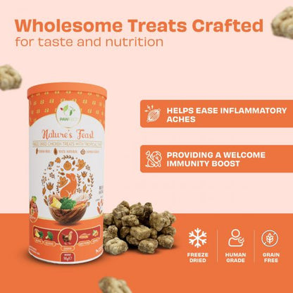 Nature's Feast Freeze Dried Chicken & Tropical Dog Treats