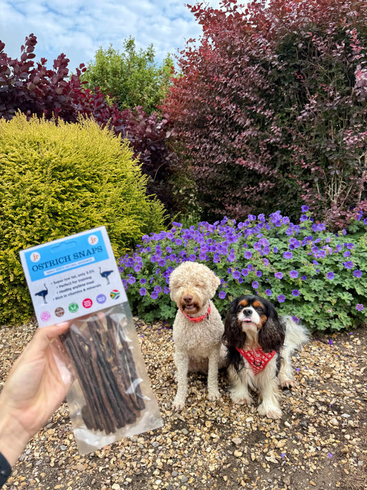 Ostrich Dog Treats Bundle