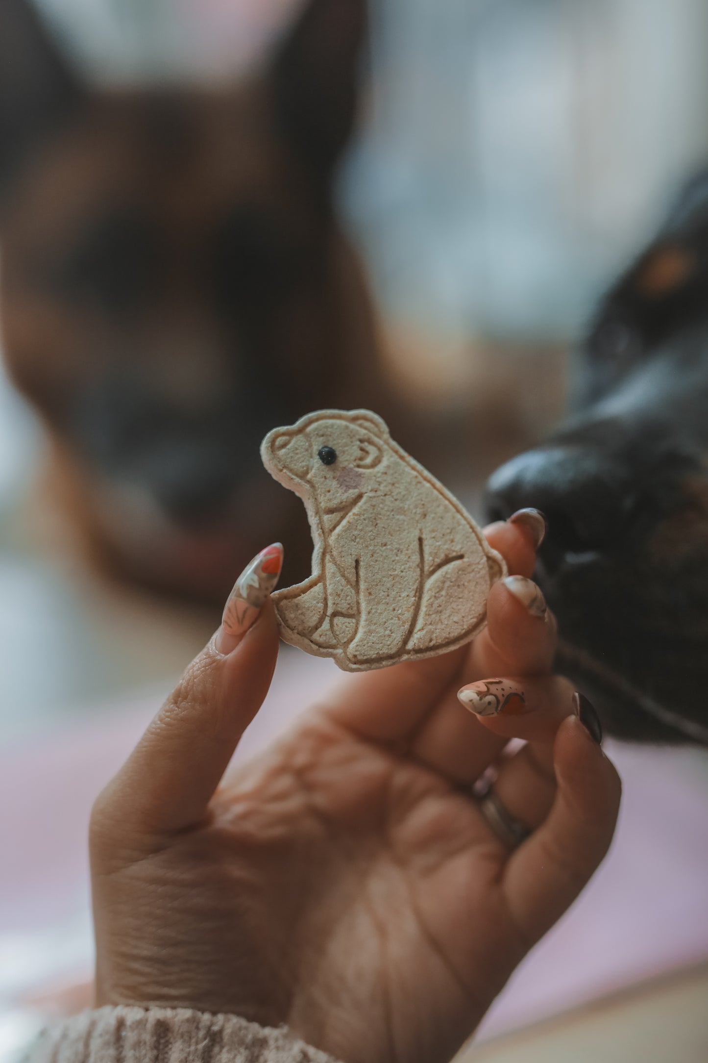 Polar Bear Cookies
