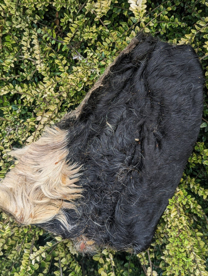 Hairy Beef Bark
