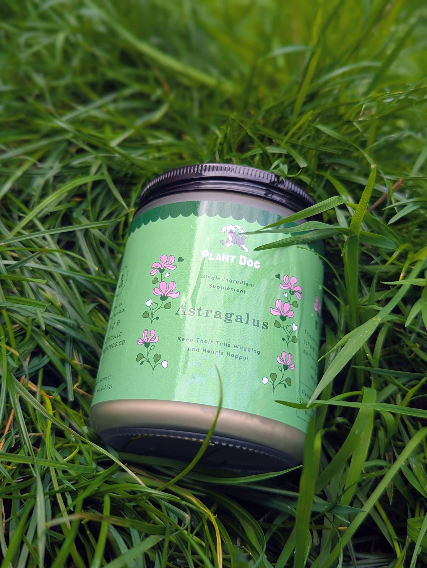 Astragalus Powder - Health Supplement For Dogs