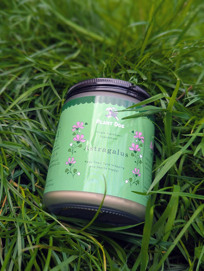 Astragalus Powder - Health Supplement For Dogs