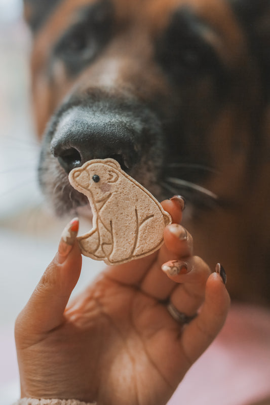 Polar Bear Cookies
