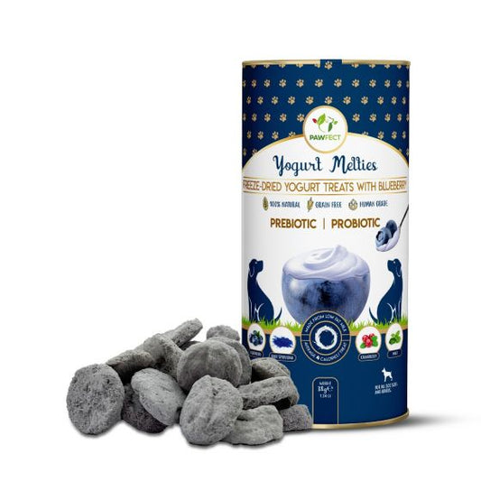Yoghurt Melties - Blueberry, Cranberry, Blue Spirulina & Mint | Natural Treats For Dogs