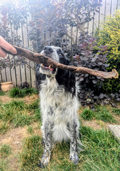 Giant Bully Jerky