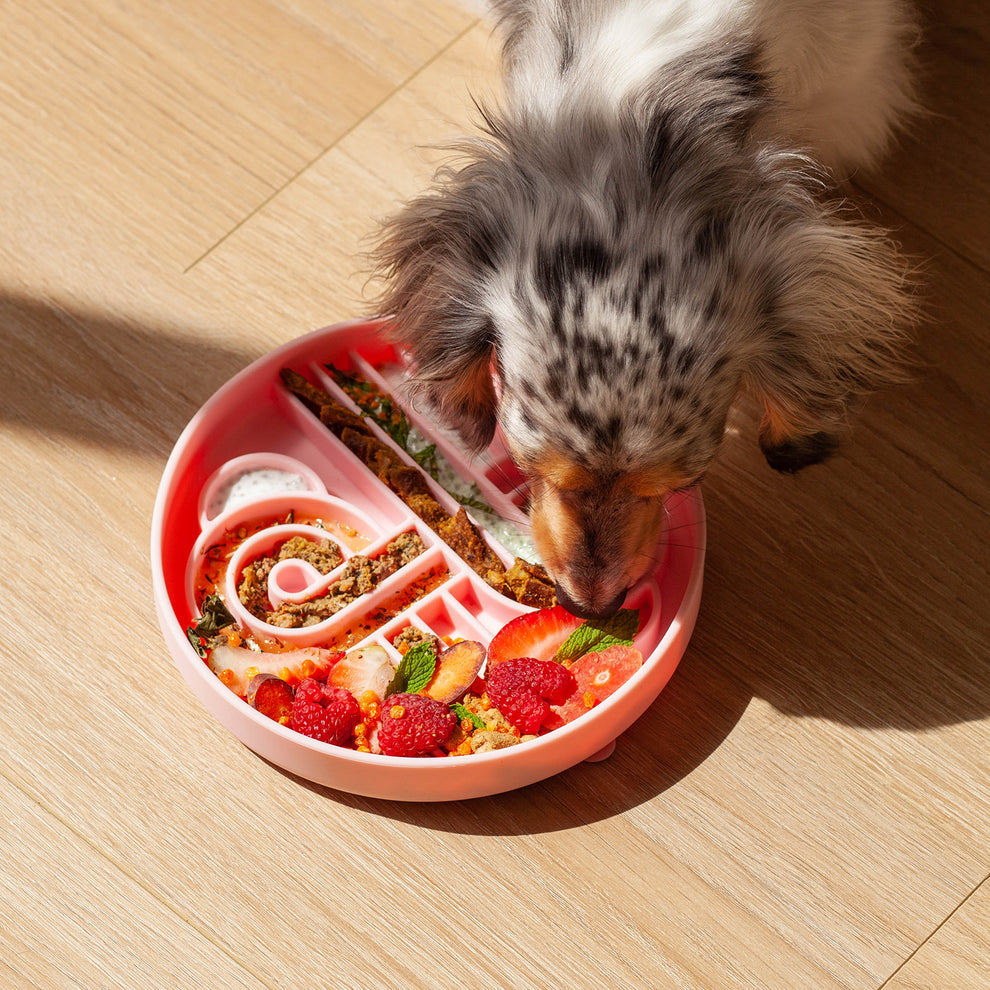 Ollie B. Good Zoomies Slow Feeder Bowl | Strawberry | Enrichment Bowl For Pets
