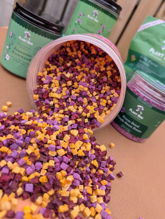 Pumpkin, Beetroot and Purple Sweet Potato Mix | Plant Based Dog Treats | Extra Large Pot