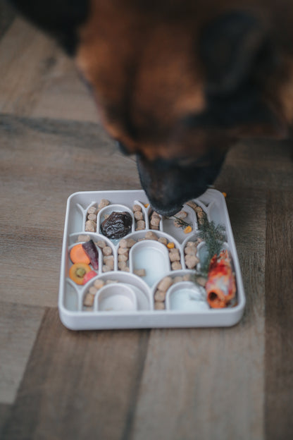 Brewin' Aussie Arco Slow Feeder | 3 Colours | Enrichment Bowl For Pets