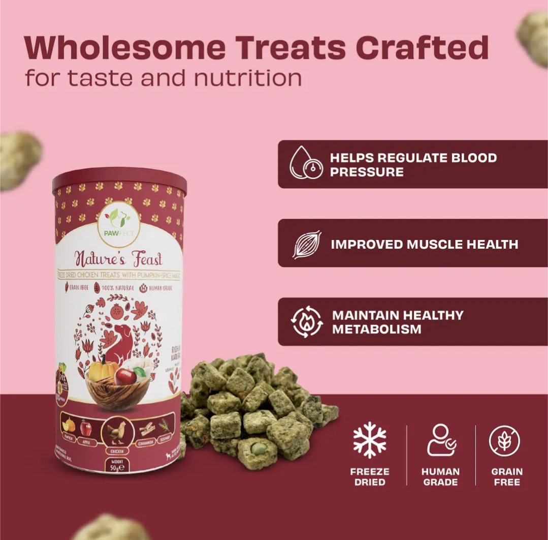 Pumpkin Spiced Natural Dog Treats