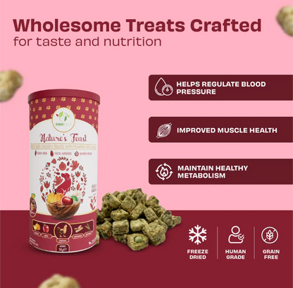 Pumpkin Spiced Natural Dog Treats