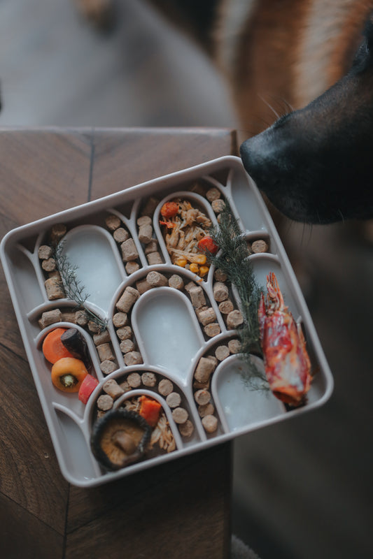 Brewin' Aussie Arco Slow Feeder | 3 Colours | Enrichment Bowl For Pets