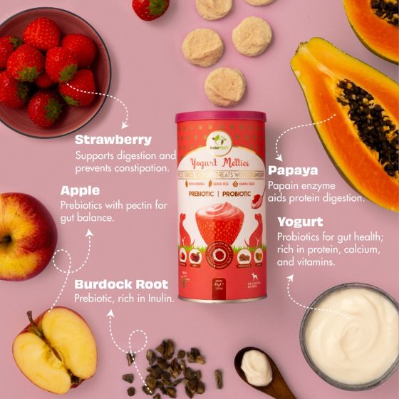 Yoghurt Melties - Strawberry, Apple, Papaya & Burdock Root | Natural Treats For Dogs