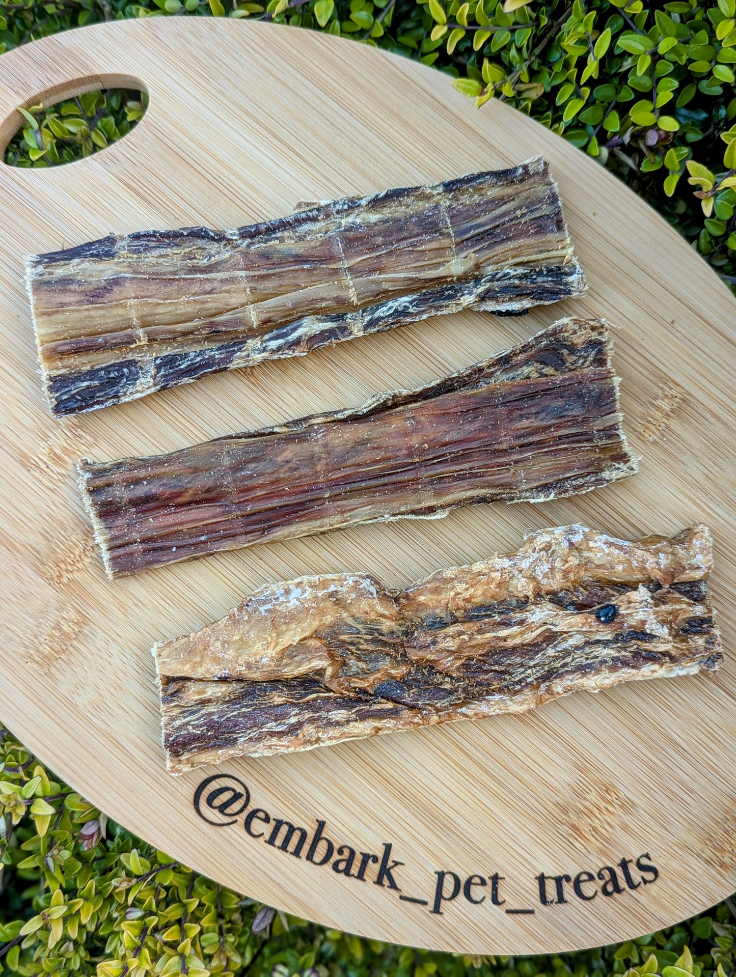 Crocodile Chews