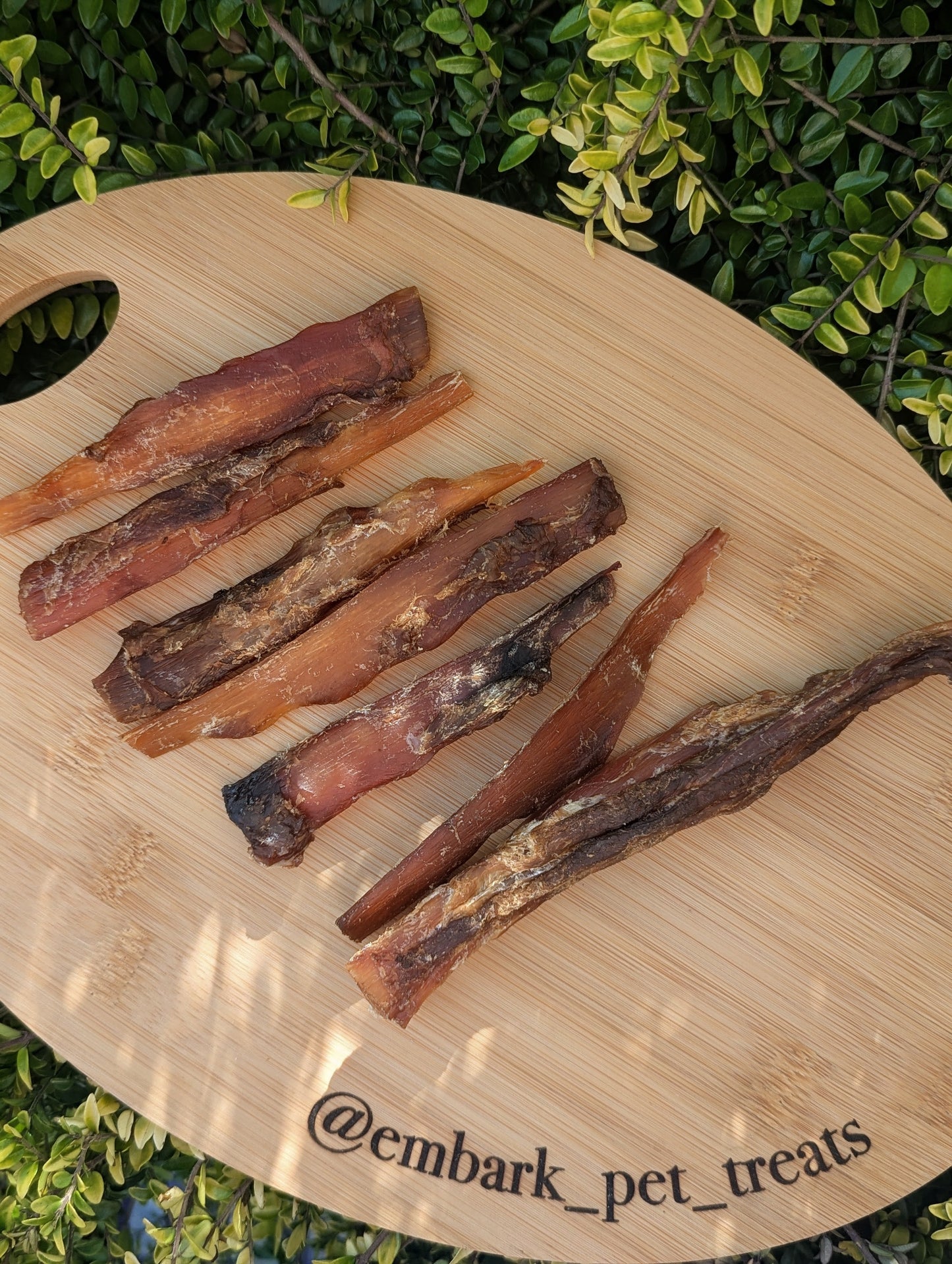Wild Venison Jerky