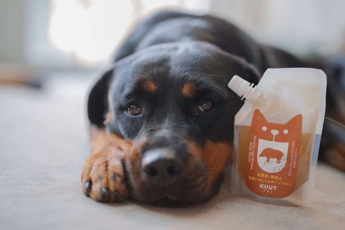 Kuut Japanese Organic Bone Broth | Free-Range Pork