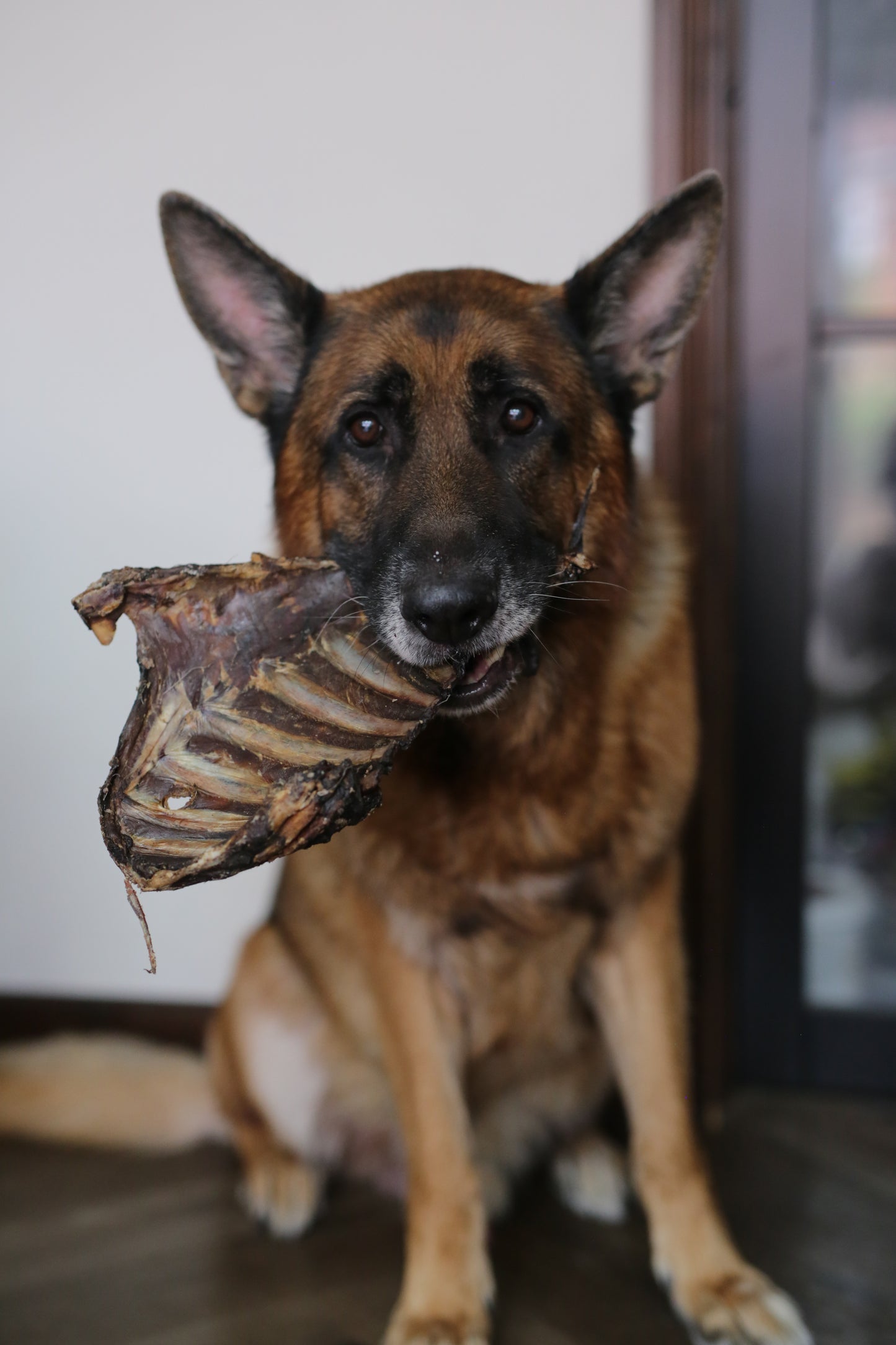 Roe Deer Ribs | Natural Long Lasting Dog Chews