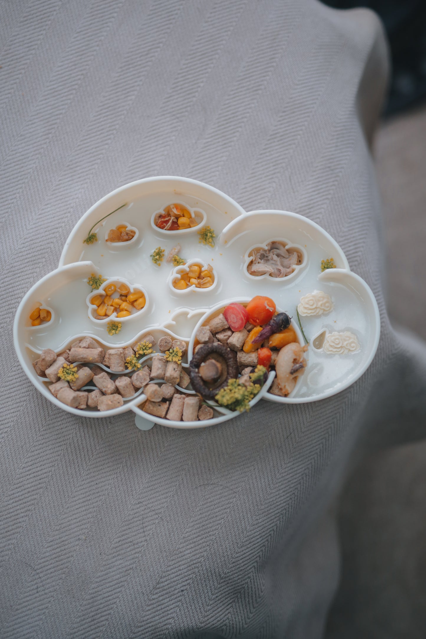 Ollie. B Good Cloud Slow Feeder Bowl | Coconut | Enrichment Bowl For Pets