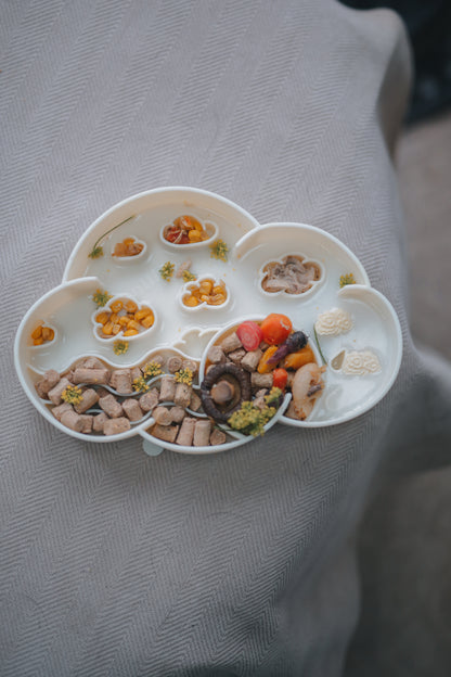 Ollie. B Good Cloud Slow Feeder Bowl | Coconut | Enrichment Bowl For Pets