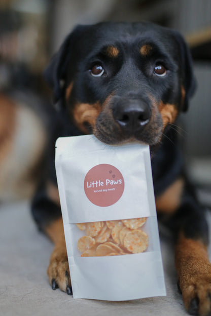 Little Paws Coconut Shrimp Crackers