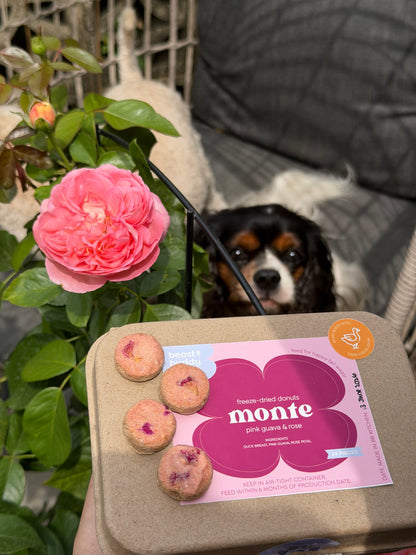 Beast Buddy Monte Glazed Donuts