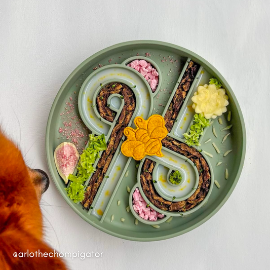 Ollie B. Good Zoomies Slow Feeder Bowl | Artichoke | Enrichment Bowl For Pets