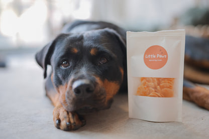 Little Paws Coconut Shrimp Crackers