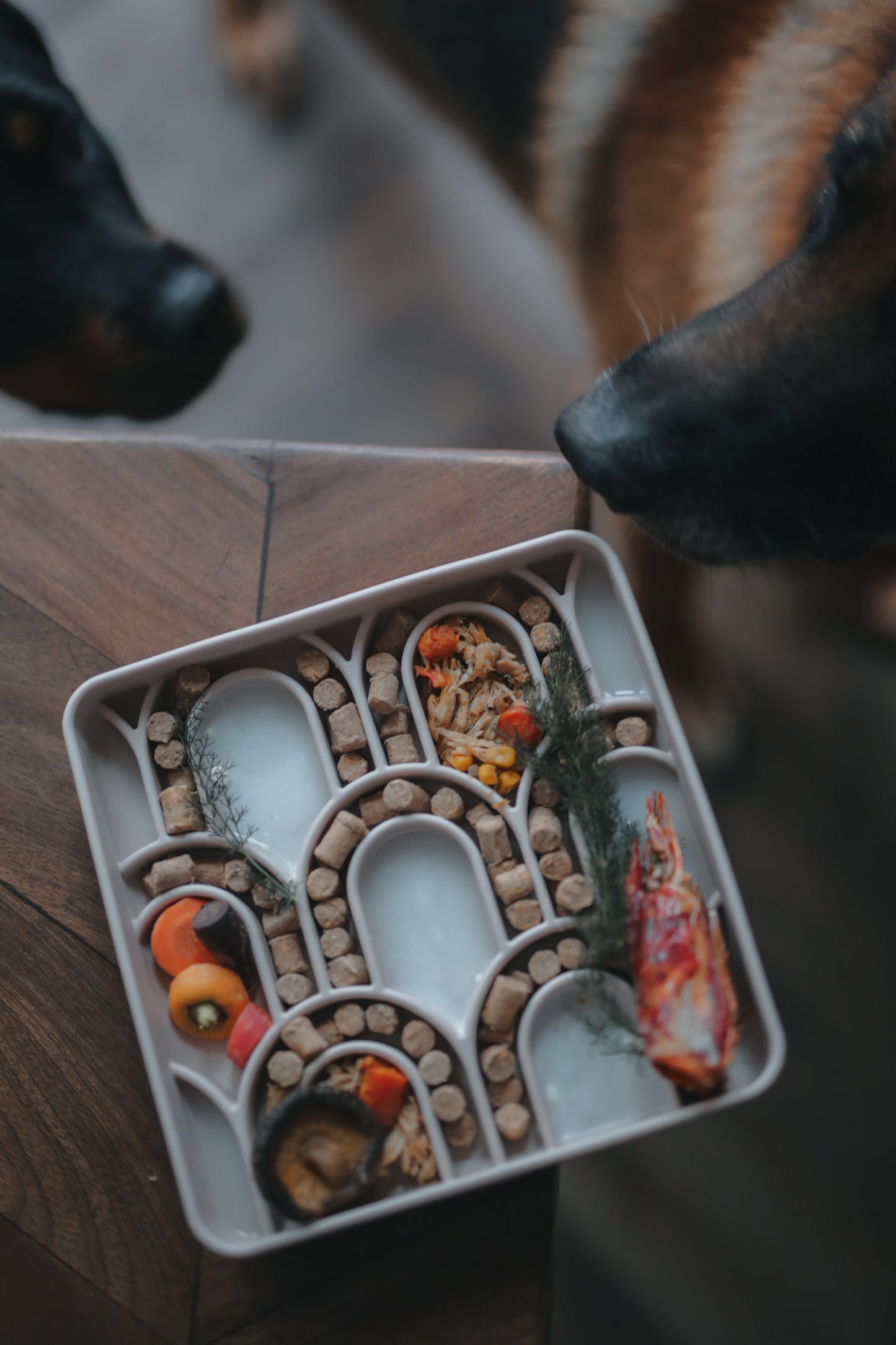 Brewin' Aussie Arco Slow Feeder | 3 Colours | Enrichment Bowl For Pets