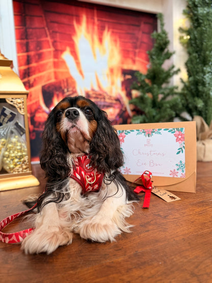 Christmas Eve Box For Dogs
