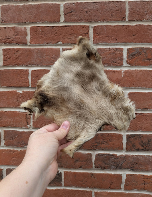 Hairy Beef Bark