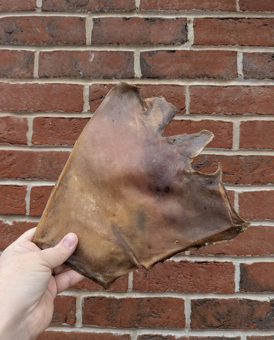 Camel Skin Plates