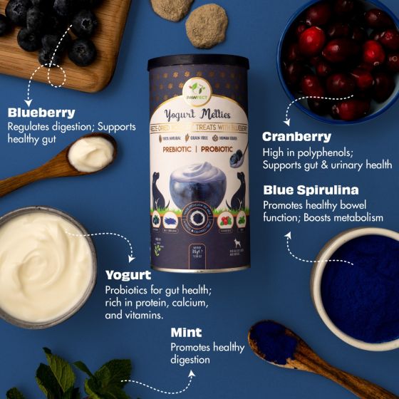 Yoghurt Melties - Blueberry, Cranberry, Blue Spirulina & Mint | Natural Treats For Dogs
