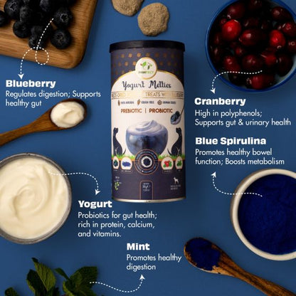 Yoghurt Melties - Blueberry, Cranberry, Blue Spirulina & Mint | Natural Treats For Dogs