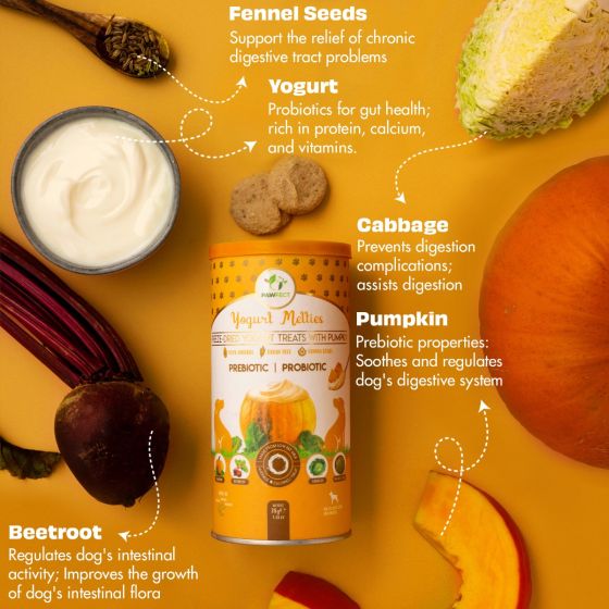Yoghurt Melties - Pumpkin, Beetroot, Cabbage and Fennel Seeds | Natural Treats For Dogs