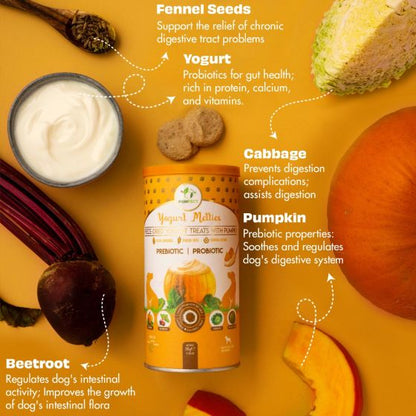 Yoghurt Melties - Pumpkin, Beetroot, Cabbage and Fennel Seeds | Natural Treats For Dogs