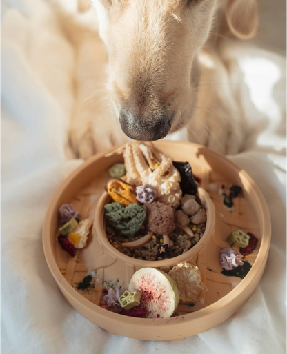 Dim Sum Steamer Grub Mat | Chinese Inspired Enrichment Bowl