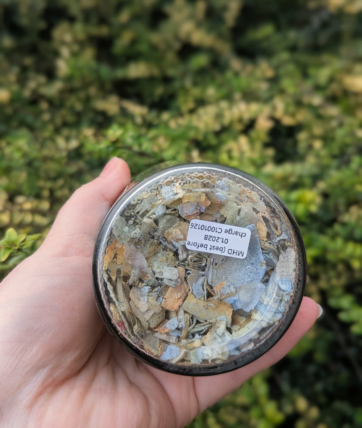 Coconut Spice Meal Topper | Natural Coconut Treats for Dogs & Cats