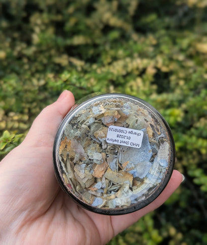 Coconut Spice Meal Topper | Natural Coconut Treats for Dogs & Cats