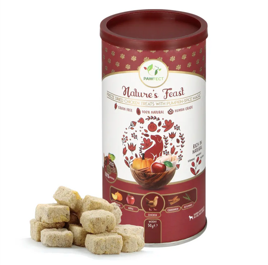 Pumpkin Spiced Natural Dog Treats